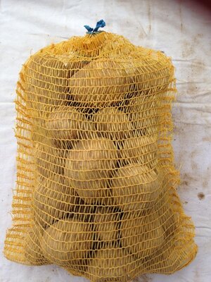 Pommes de terre bintje 5kilos