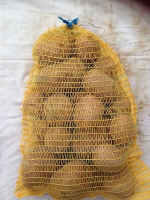 Pommes de terre mozart (rouge) 5kilos