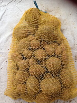 Pommes de terre mozart (rouge) 10kilos