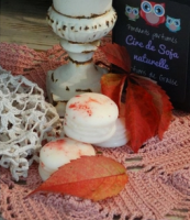 Parfum d'ambiance solide agrume