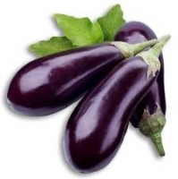 Aubergine