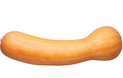 Courge musquée de nice 2kg
