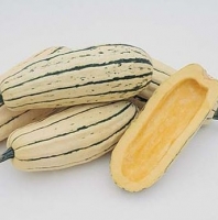 Courge délicata- 2kg-