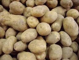 Pomme de terre monalisa