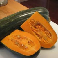 Potiron courge de naples