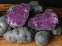 Pomme de terre vitelotte
