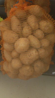 Pomme de terre blanche