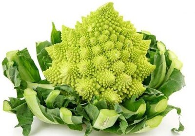 Chou romanesco