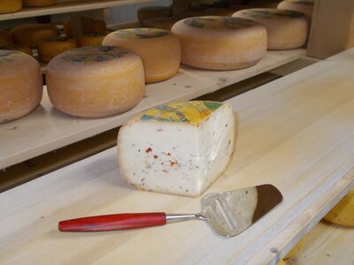 Gouda de vache aux tomates méditerranées, 300