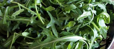 Roquette