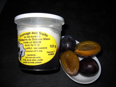 Fromage sur lit de prune x2