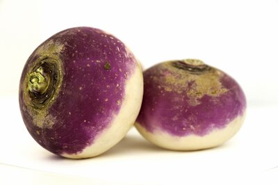 Navet à colle violet 
