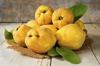 Pâtes de coing aux épices bio