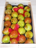 Poires comice en plateau de 5kg