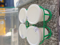 Yaourts de chèvre fermier