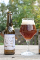 3/ les malts: flores du malt 6%| ronde, grillée , céréalière