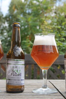 4/ le houblon: soli flore 6% | musquée, boisée, amère
