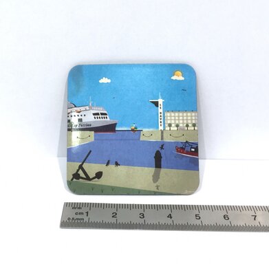 Magnet 'le bassin du roy'