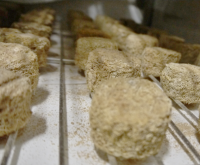 Rond de chèvre  affiné