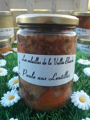 Poule aux lentilles