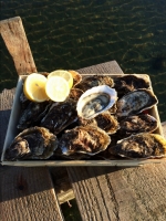 Ventes spéciales fêtes - bourriche d'huîtres 5 kg