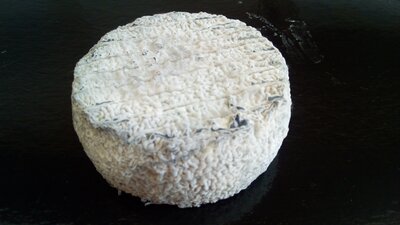 Le ministre de chévre