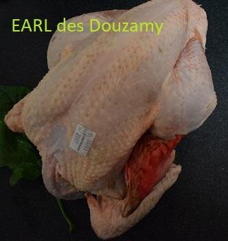 Poulet fermier prêt à cuir 2.2 kg