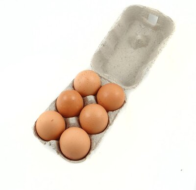 Oeufs bio plein air extra frais