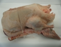 Oie fermiere ( précommande pour livraison le 18 décembre )