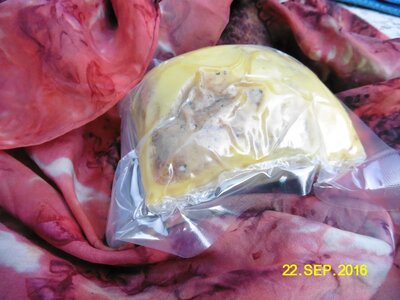 Foie gras mi cuit 300 g