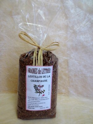 Lentillons de champagne 500g