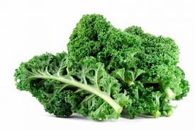 Chou kale bio