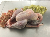 Dinde noire fermière pour 8 personnes