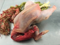 Coq spécial coq au vin