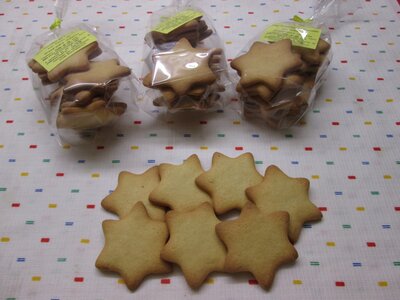 Les etoiles de noël