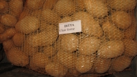 Pomme de terre ditta