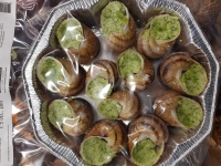 12 escargots en coquilles