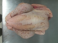 Poulet