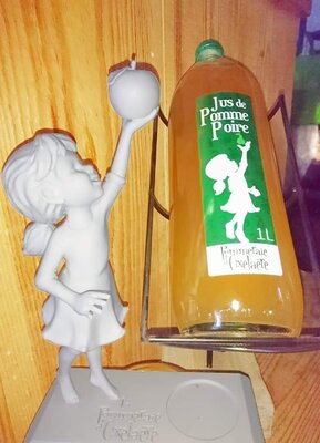 Jus de pomme poire 1l