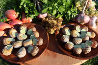 Escargots en coquille à la bourguignonne