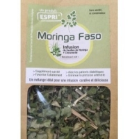 Moringa faso infusion à la citronnelle