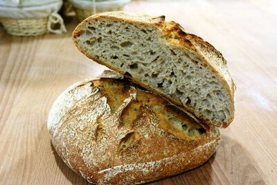 Le noé
