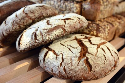 La tourte de seigle pur