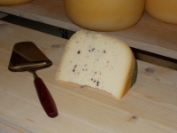 Gouda de vache avec truffe 270-330 gr