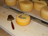 Gouda de vache nature petite boule e
