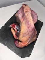 Pintade fini au lait