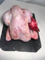 Chapon entier d'environ 3kg500