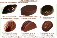 Bonbons de chocolats bio aux fruits