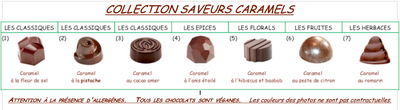 Bonbons de chocolats bio au caramel