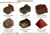 Bonbons de chocolats bio au fondant (sans allergènes) - 200g